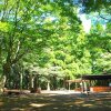 Отель Toke Showanomori Forest Village in Chiba, фото 7