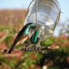 Отель Sunbird B&B, фото 10