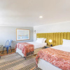 Отель Casablu Hotel, фото 27