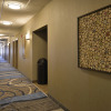 Отель Holiday Inn Express St. Louis West - O'Fallon, an IHG Hotel, фото 15