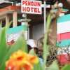 Отель Penguin Hotel Kawthaung, фото 9