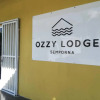 Отель Ozzy Lodge, фото 1