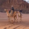 Отель Wadi Rum Safari Camp & Trips, фото 24
