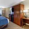 Отель Comfort Inn Nashville - Opryland Area, фото 11
