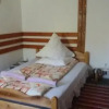 Отель Pensiunea Letitia, фото 4