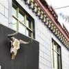 Отель Cool Yak Hotel - Lhasa, фото 1