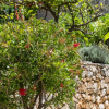 Отель An Apartment Gardenia, фото 15