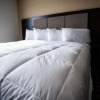 Отель Stoughton Western Star Inn & Suites, фото 11