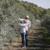 Отель Masia Can Viver - Olive oil tourism B&B, фото 29
