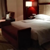 Отель Ramada by Wyndham Jilin North, фото 7
