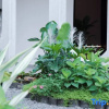 Отель Qingcheng Mountain Nanke Yimeng Private Tang Homestay, фото 5