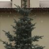Гостиница Серебряный век в Суздале