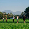 Отель BAKUNGAN diJero Homestay, фото 13