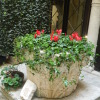 Отель Ca' Foscolo Residence, фото 13