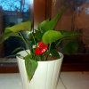 Отель Spacious 1-bed Apartment in Croydon-free Parking, фото 18