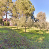 Отель Villa Wanna Capoliveri, фото 14