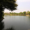 Отель Primm Valley Resort, фото 2