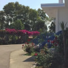 Отель Kipriotis Hotel, фото 5