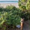 Отель Driftwood Beach Guest House, фото 18