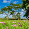 Отель Rincón del Socorro, фото 7