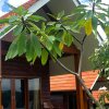 Отель Pondok Senaru Cottages, фото 9