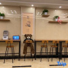Отель Tianmei Hotel (Zunyi club site), фото 8