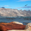 Отель Strand Beach Views, фото 16