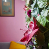 Отель New Loft 37, фото 14
