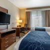 Отель Comfort Suites Redlands, фото 4