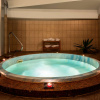 Отель Golden Tulip Ana Tower Sibiu, фото 17