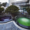 Отель Dukgu Oncheon Hotel, фото 15