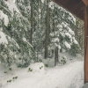 Отель Moosewood Cabin, фото 12