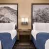 Отель Super 8 by Wyndham Lindsay Olive Tree, фото 2
