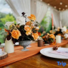Отель Yuchen Holiday Hotel, фото 16
