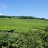Отель Gîte Binnert Bader, фото 11