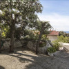 Отель Apartments Eddi 66, фото 22