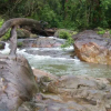 Отель Hummingbird Guest Lodge & Hostel, фото 8