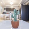 Отель Little Cactus Apartments Aruba, фото 46