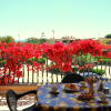 Отель Palm Village, фото 22