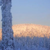 Отель Hallan Kelo Kuusamo in Kuusamo, фото 18
