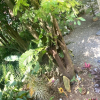 Отель Casa Suyte Leguizamon, фото 28