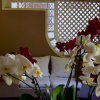Отель Sardegna Smeralda Suite, фото 16