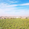Отель Luxor 1 Bed 4ppl Egyptian Feel Nile View Cozy Flat, фото 15