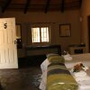 Отель Timbavati Safari Lodge, фото 27