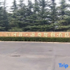Отель Zhengzhou Huanghe Valley Hot Spring Hotel (Fengle Farm), фото 11