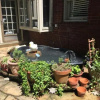 Отель Inman Park Bed & Breakfast, фото 25