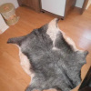 Отель Rooms Tomic, фото 13