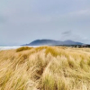 Отель Manzanita Beach Cottage, фото 16