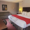Отель Blackstone Lodge & Suites, фото 18