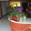 Отель Longda Hostel, фото 1
